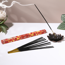 БЛАГОВОНИЯ ДЫХАНИЕ ПРИРОДА АМБРА