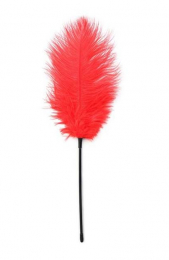 ПЕРО ДЛЯ ЩЕКОТАНИЯ